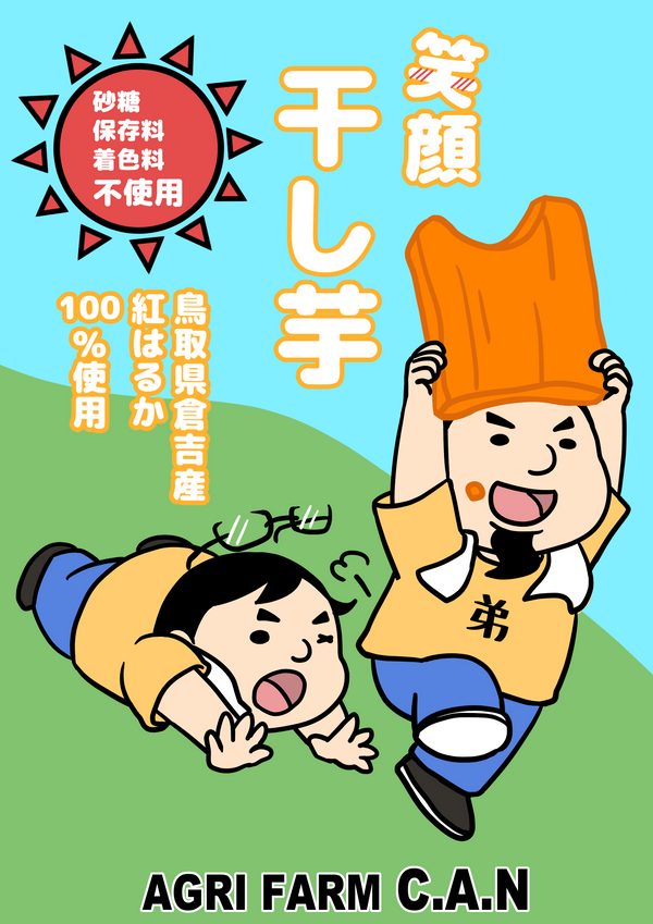 アグリファーム　干し芋(鳥取県倉吉産紅はるか）　10個セット送料込み