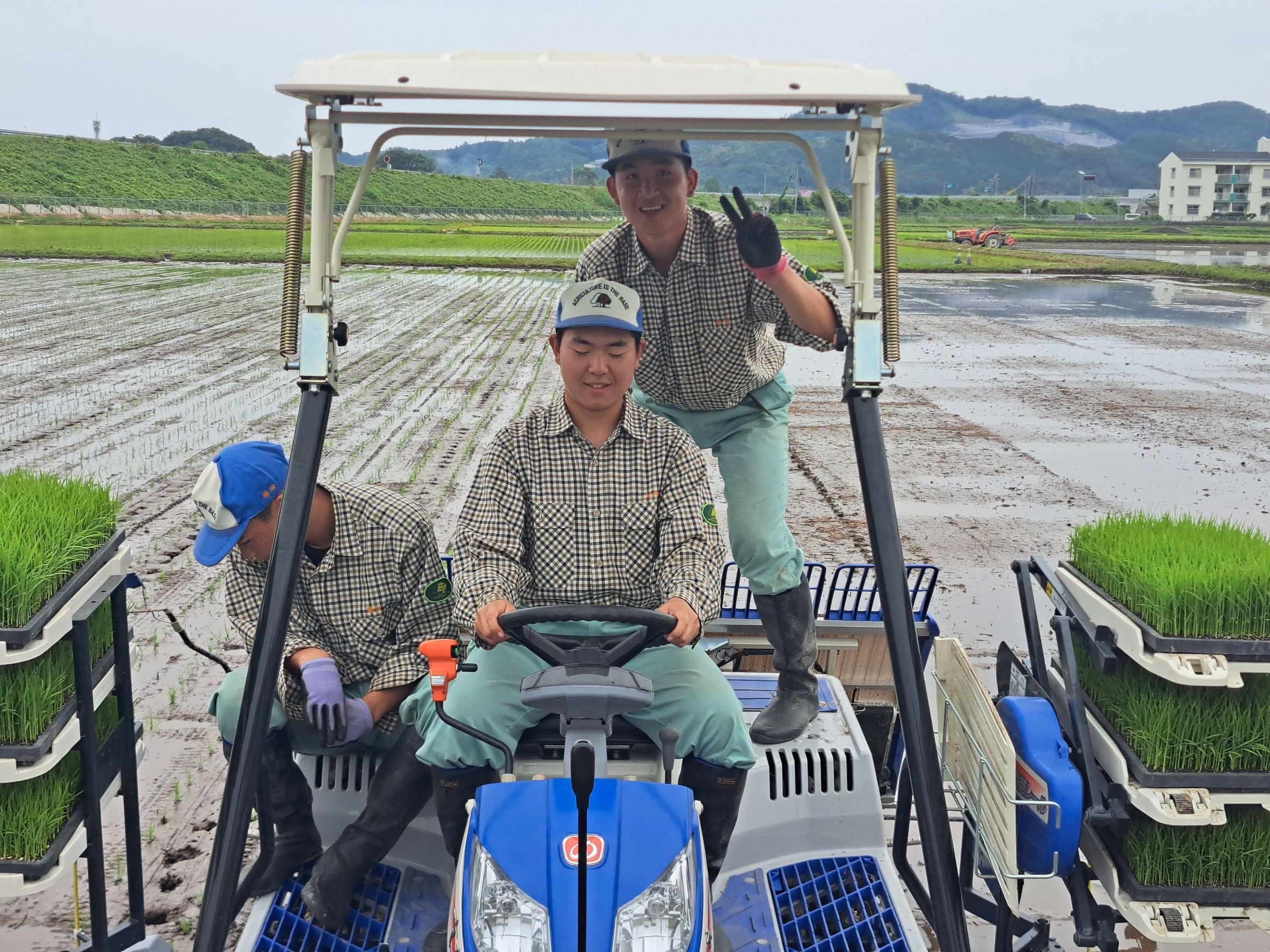 倉吉農業高校　高校生が作った 愛情たっぷりの星空舞(新米 5kg)送料込