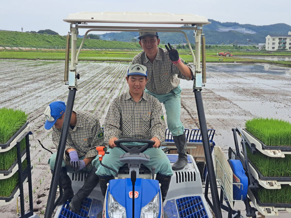 倉吉農業高校　高校生が作った 愛情たっぷりの星空舞(新米 5kg)送料込