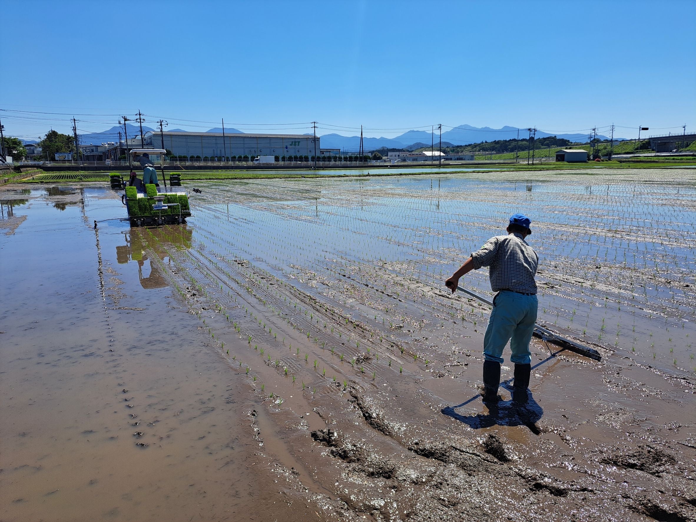 倉吉農業高校　高校生が作った 愛情たっぷりの星空舞(新米 5kg)送料込